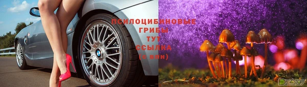 стафф Белая Холуница