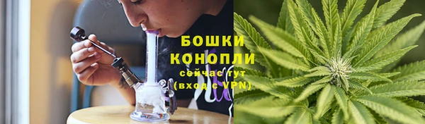 шишки Бежецк