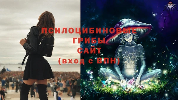 шишки Бежецк