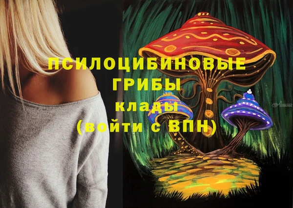 2c-b Михайловка