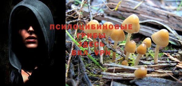 шишки Бежецк