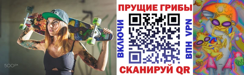 где продают   blacksprut ONION  Галлюциногенные грибы Psilocybine cubensis  Томилино 